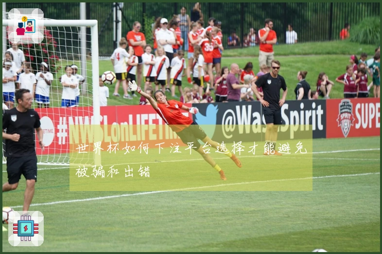 世界杯如何下注平台选择才能避免被骗和出错