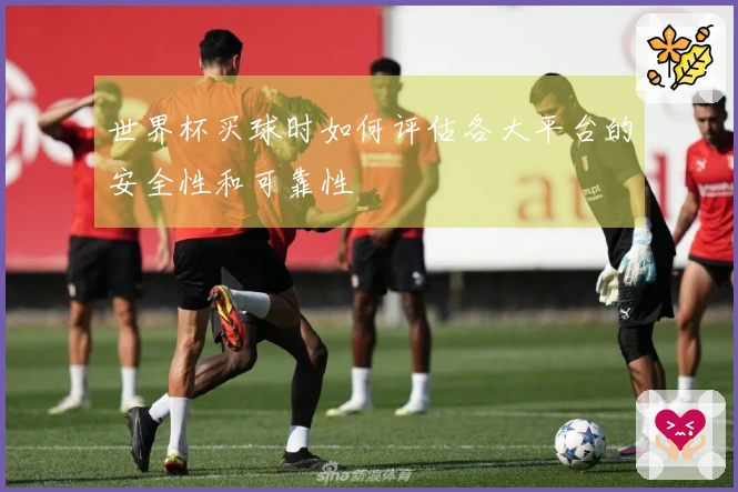世界杯买球时如何评估各大平台的安全性和可靠性