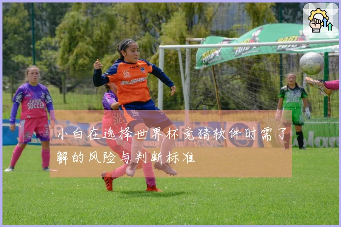 小白在选择世界杯竞猜软件时需了解的风险与判断标准
