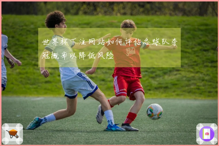 世界杯下注网站如何评估各球队夺冠概率以降低风险