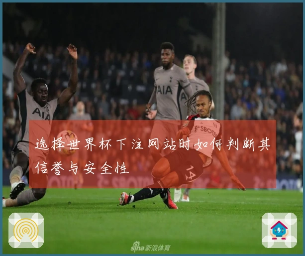 选择世界杯下注网站时如何判断其信誉与安全性