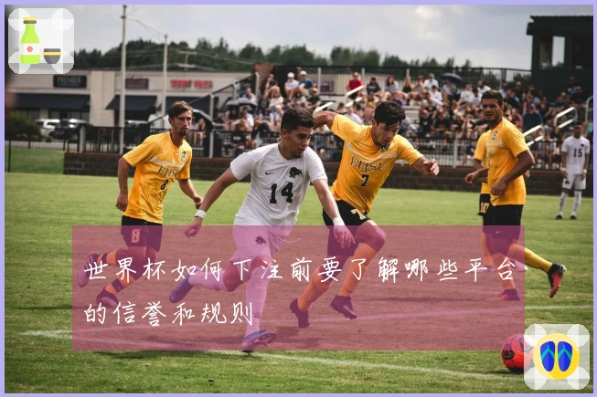 世界杯如何下注前要了解哪些平台的信誉和规则